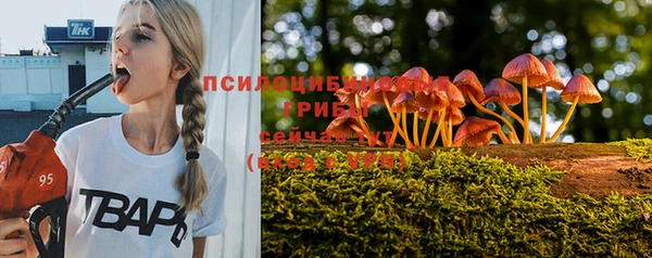 каннабис Верея