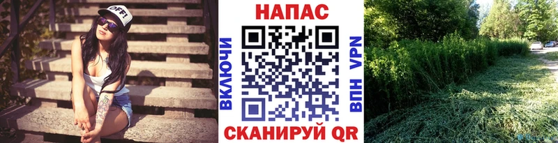 МАРИХУАНА LSD WEED  купить   блэк спрут как войти  Каргат 